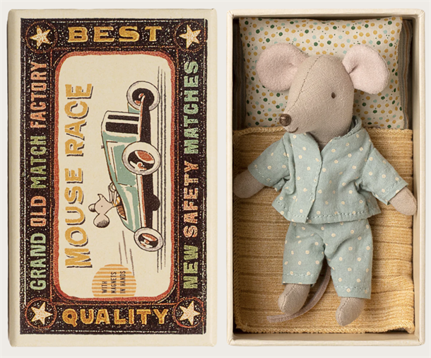 Little brother mouse in matchbox