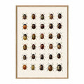 The Dybdahl - Insectum 30  - Billede 50x70