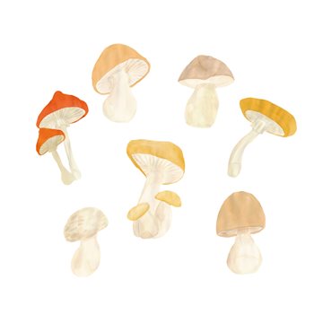 Thats Mine Wall Stickers Forest mushrooms