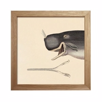 The Dybdahl - Animals (Whale head) - Mini Print 15x15