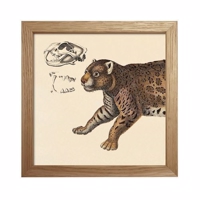 The Dybdahl - Animals (Cat front) - Mini Print 15x15
