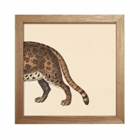 The Dybdahl - Animals (Cat back) - Mini Print 15x15