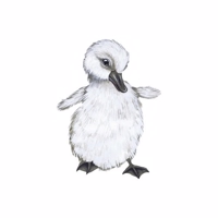 That's Mine wall sticker Beautiful duckling