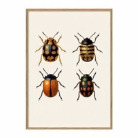 The Dybdahl - Insectum 4 - Billede 30x40